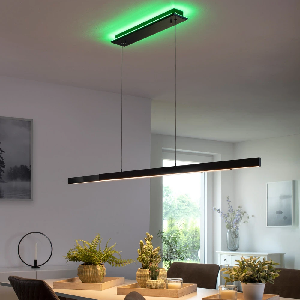 Paul Neuhaus Q-ARIAN suspension LED anthracite - Compatibilité Universelle Véhicule