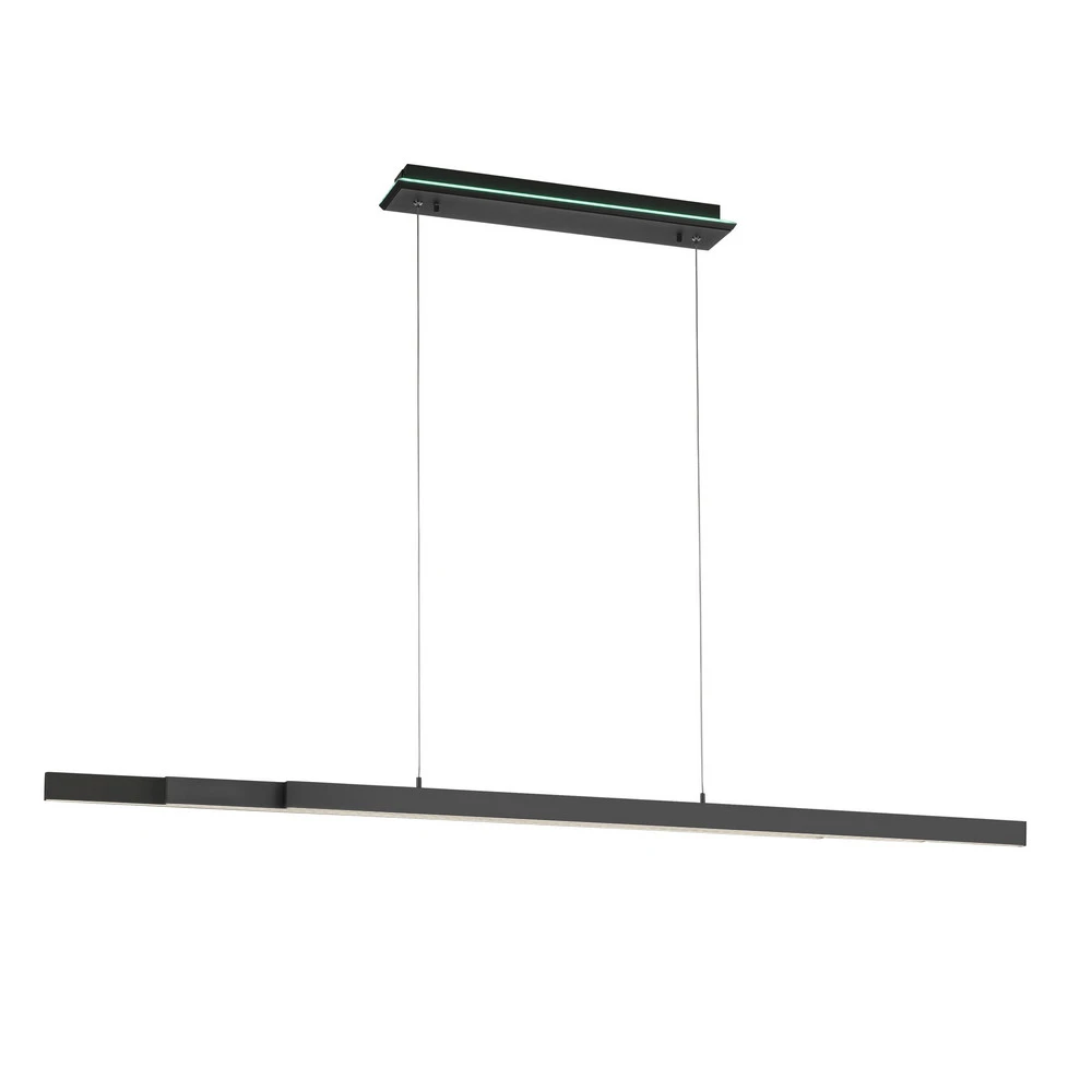 Paul Neuhaus Q-ARIAN suspension LED anthracite - Compatibilité Universelle Véhicule