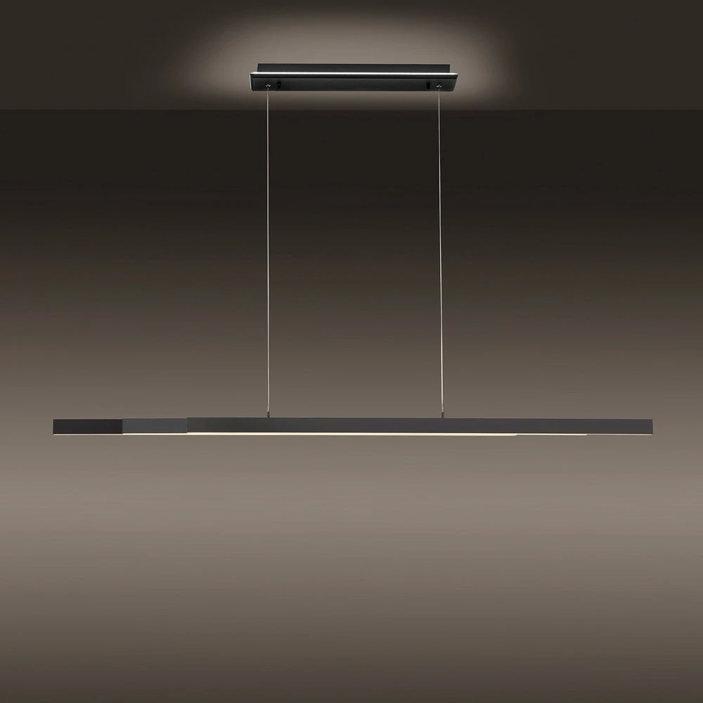 Paul Neuhaus Q-ARIAN suspension LED anthracite - Compatibilité Universelle Véhicule