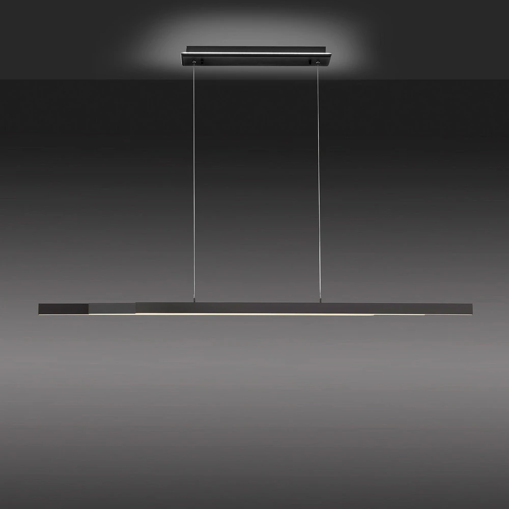 Paul Neuhaus Q-ARIAN suspension LED anthracite - Compatibilité Universelle Véhicule