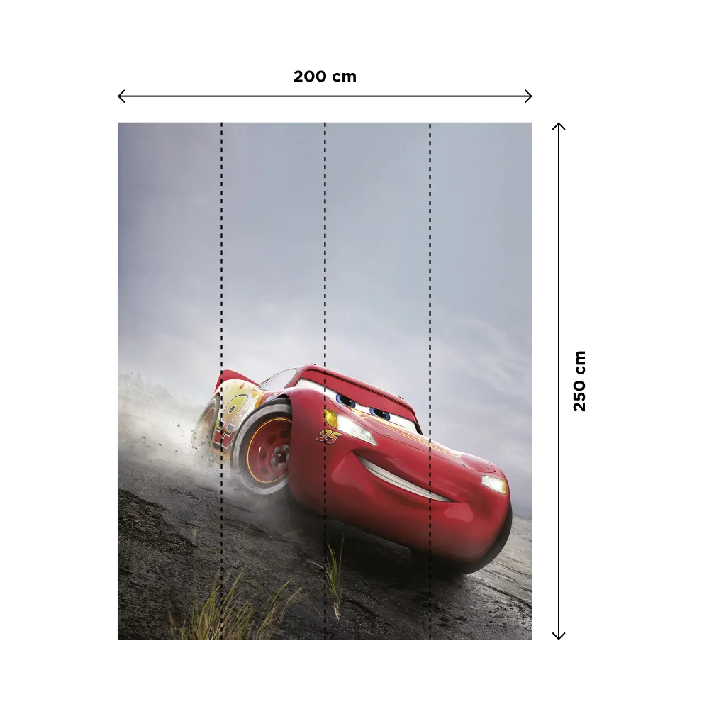CARS | Livraison Rapide