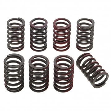 Certifié OEM VALVE SPRING SET, 8 PIECES