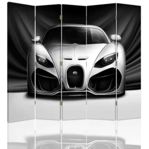 Coffre de rangement Paravent voiture sportive 5 volets - 180 x 150 cm - 2 faces R° V° + rotation 360°