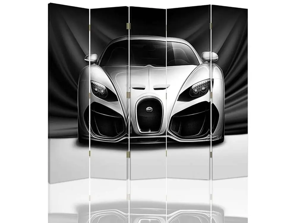 Coffre de rangement Paravent voiture sportive 5 volets - 180 x 150 cm - 2 faces R° V° + rotation 360°