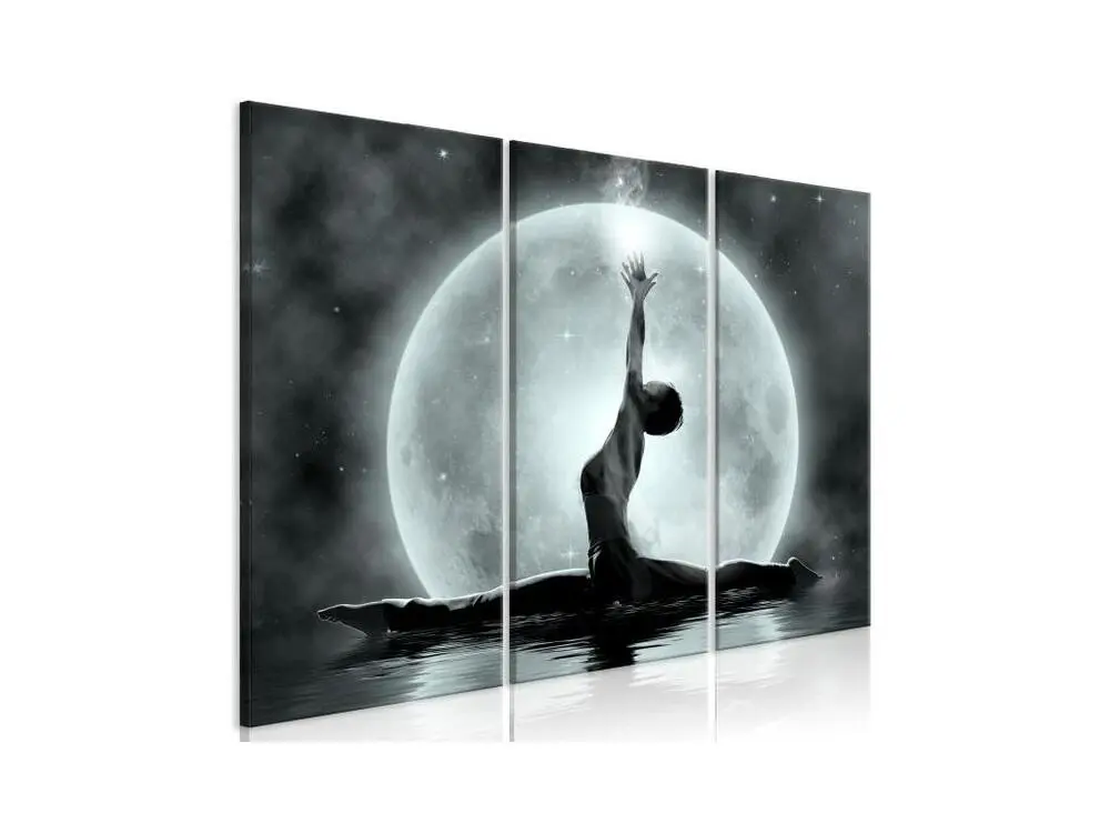 Tableau Personnages Twine (3 Parts) Grey : Taille - 120 x 80 cm