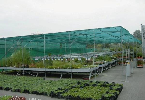 Tissu d'ombrage Agroflor 50% vert 2 x 50m 1811002050 prendre à bas prix avec Système de verrouillage
