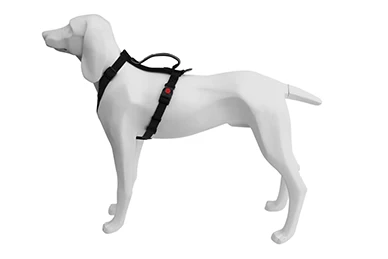 CINTURON DE SEGURIDAD FREEDOG an-repuestos