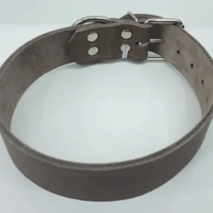 COLLAR PERRO CUERO ANCHO 4CM an-repuestos