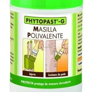PHYTOPAST 250G CON BROCHA an-repuestos