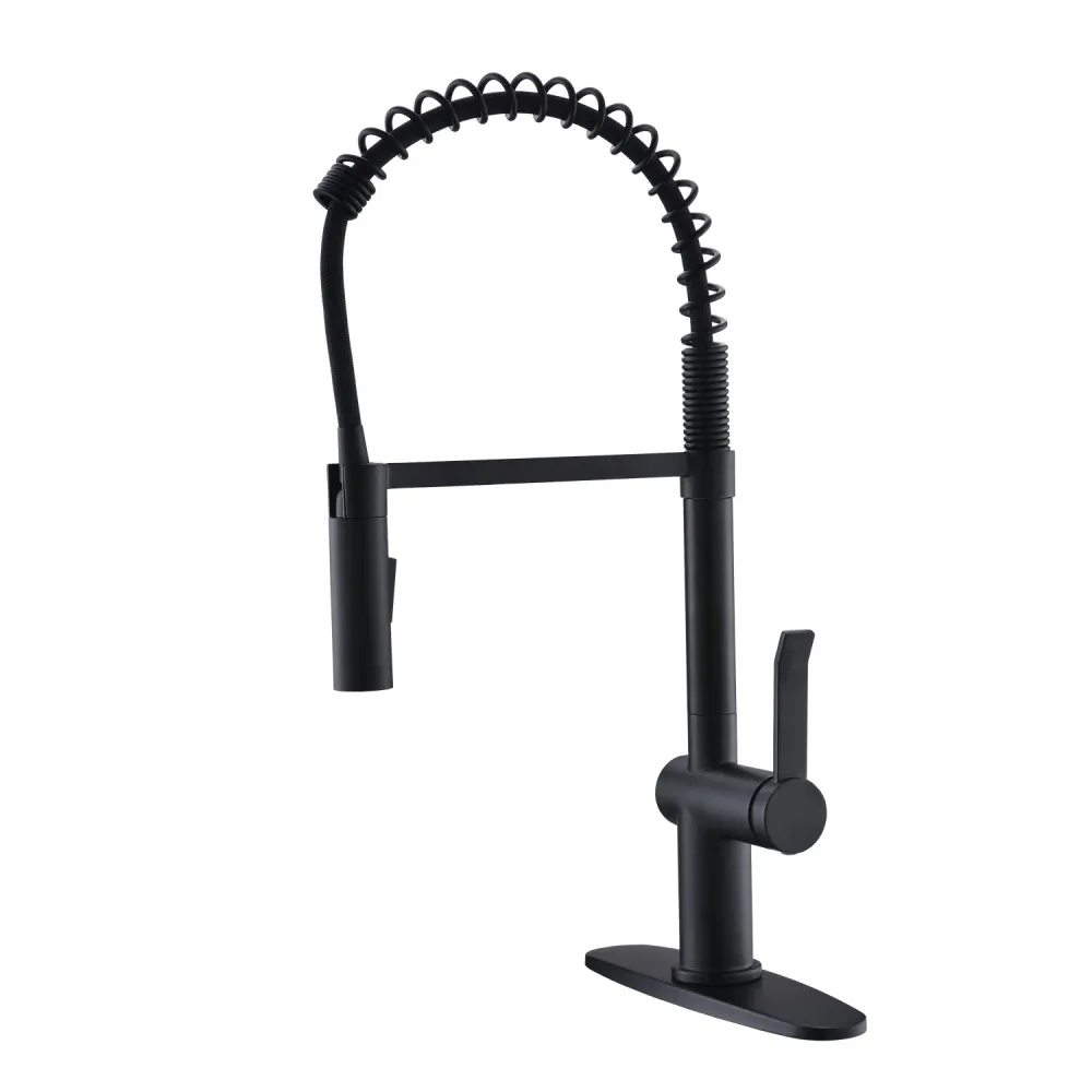 APPASO 238MB Modern Spring Kitchen Faucet Terne Black Low Lead Solid Brass Pull Down Sprayer