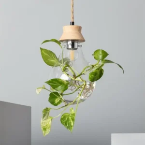 Échappement complet Iluzzia Suspension Bois et Verre Kathu Bumbieris ILUZZIA Blanc