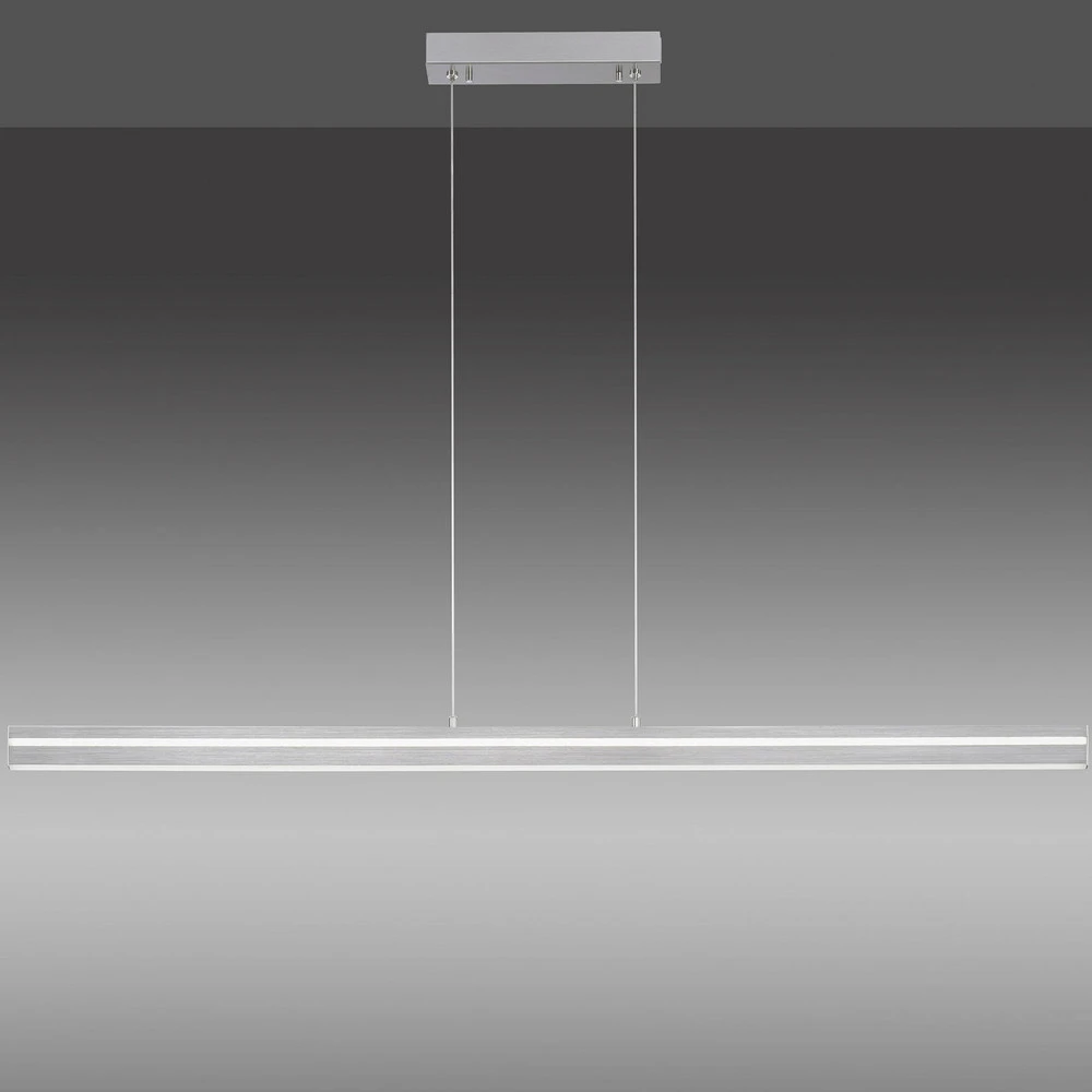 Paul Neuhaus Q-VITO suspension linéaire, acier pour usage intensif