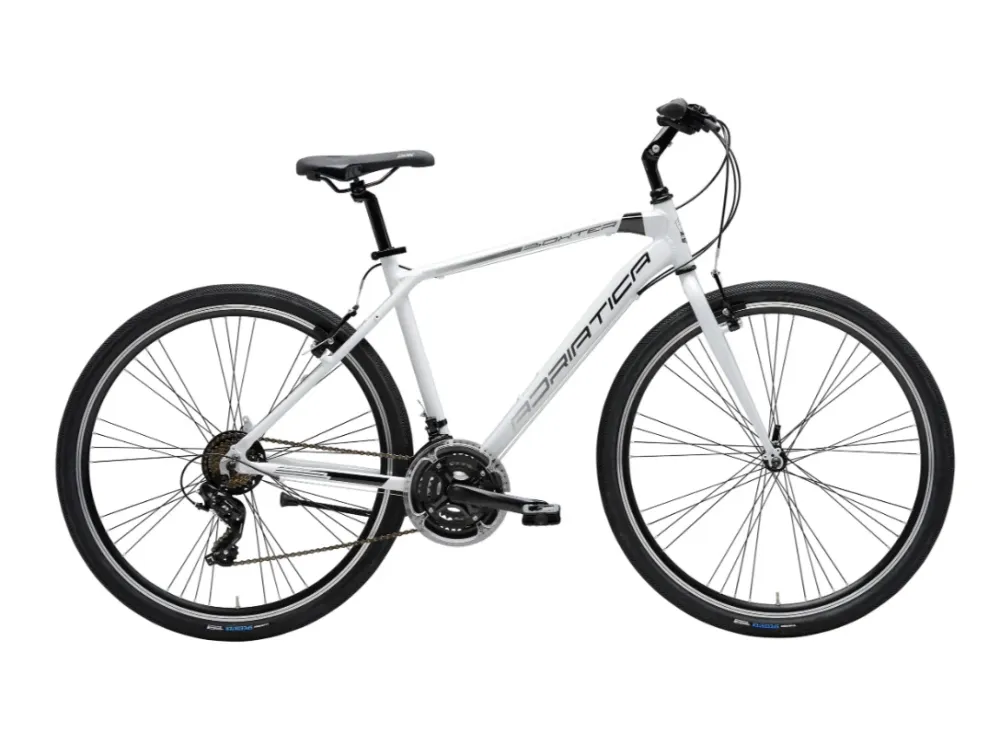 Adriatica - Boxter FY Homme