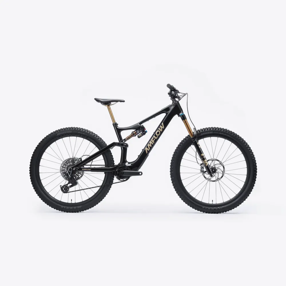 Amflow PL Carbone Pro (800Wh) - DÉMO TEST - Taille L - 513km