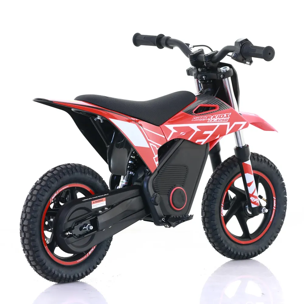 Apollo, RFN Warriors Kids SX-E250, Motocross Électrique au Lithium (36 Volts) (250 Watts) (3-6 Ans) Blue