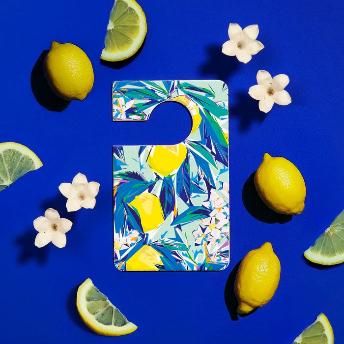 Parfum voiture : Blue Ginger Baija