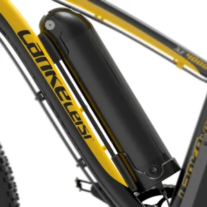 Batterie au lithium / Batterie Li-Ion spéciale pour vélo électrique LANKELEISI (avec boîtier de batterie)