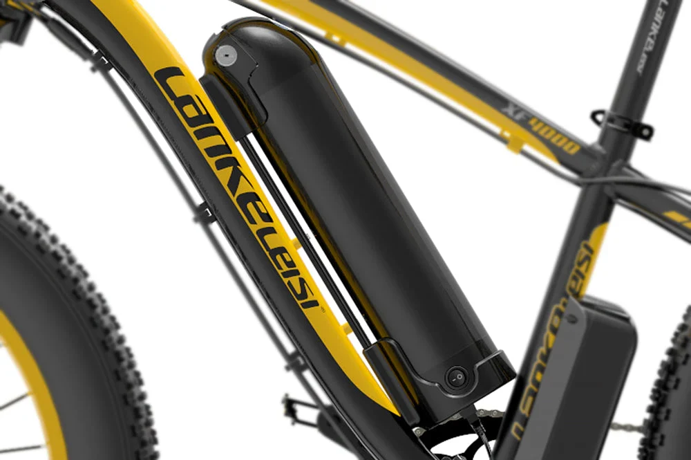 Batterie au lithium / Batterie Li-Ion spéciale pour vélo électrique LANKELEISI (avec boîtier de batterie)