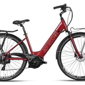 Bottecchia be17