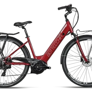 Bottecchia be17
