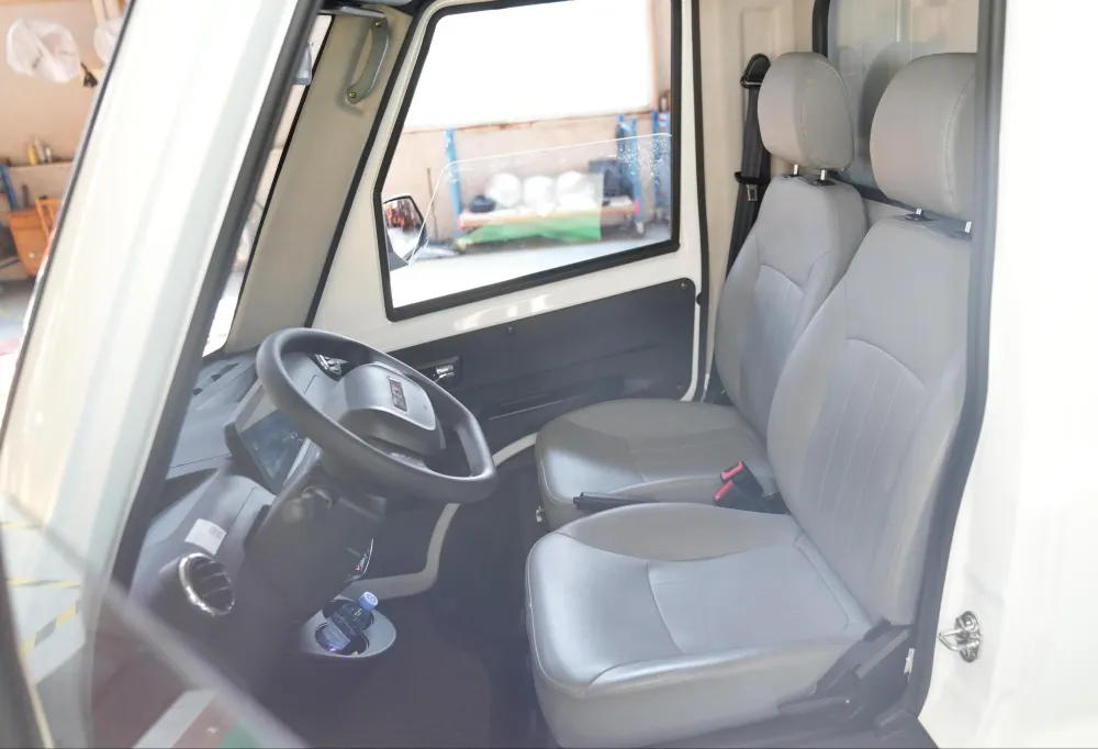 Camionnette Électrique 650kg, 300km ,Vitesse 80km/h