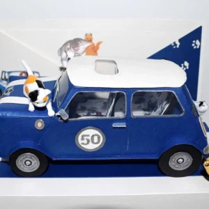Boite surprise, voiture mini rover cooper, chats et casimir Cartes and co