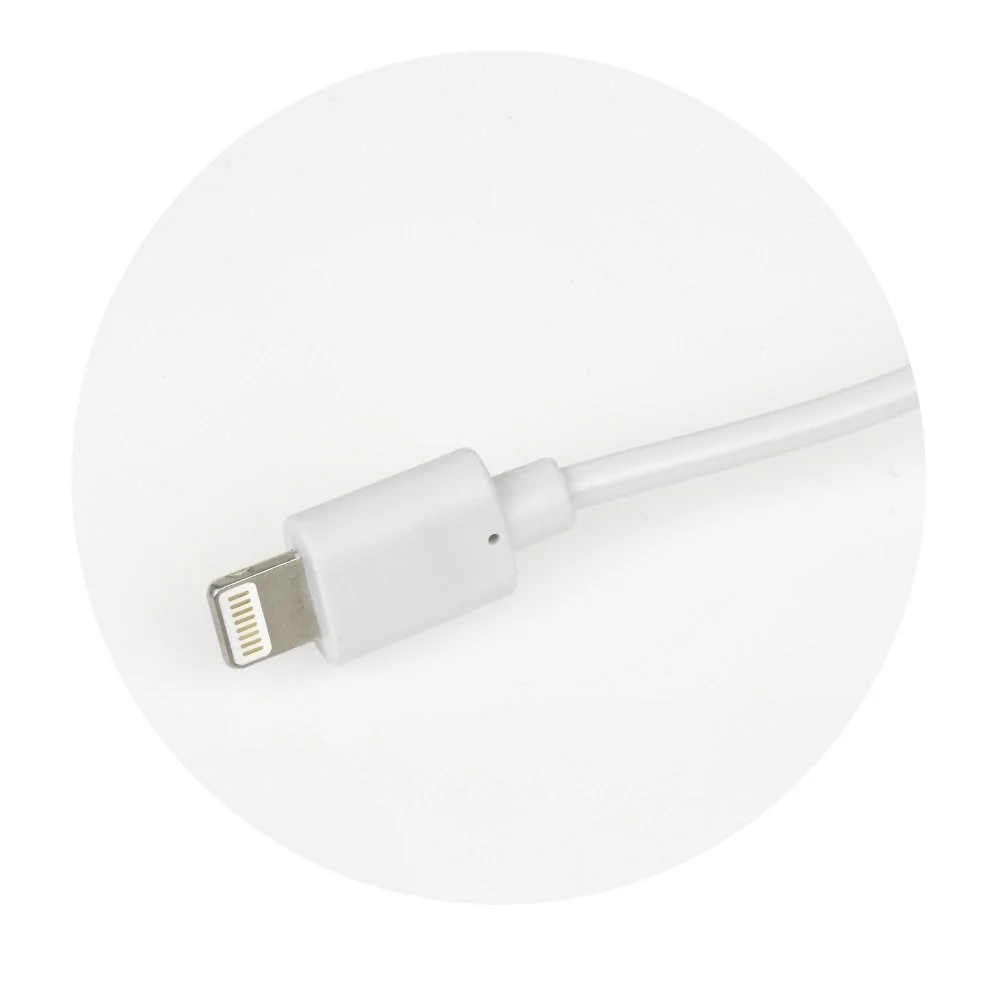Chargeur de voiture BlueStar avec câble Apple Lightning fixe et port USB (2A -1A)