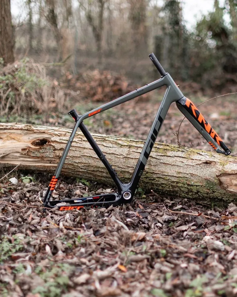 Copy Velo Rnr Gravel Campagnolo Ekar | Girs