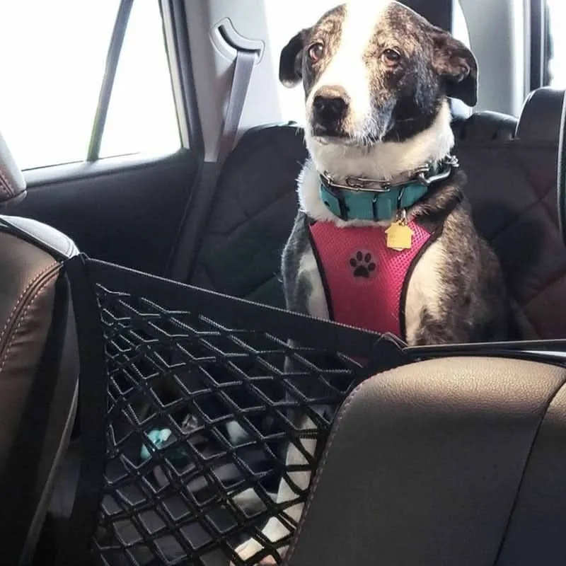 PETROAD SHIELD – Filet de sécurité pour voiture avec espace de rangement pour animaux de compagnie Cozey Maison