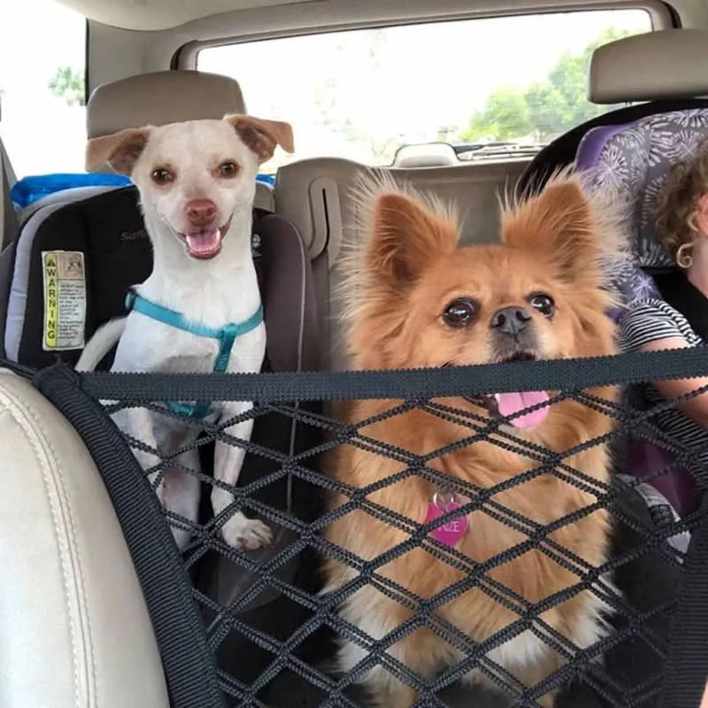 PETROAD SHIELD – Filet de sécurité pour voiture avec espace de rangement pour animaux de compagnie Cozey Maison
