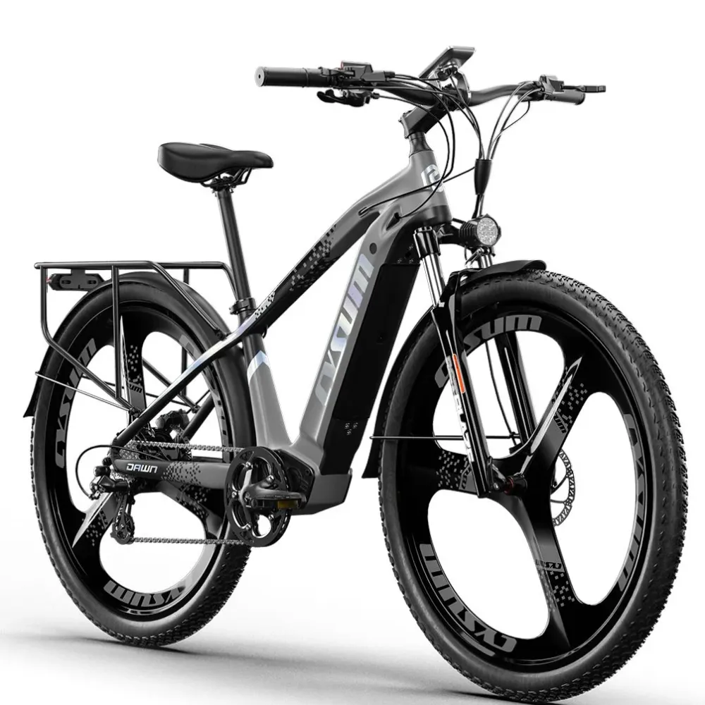 CYSUM SPEEDY 29" Vélo électrique