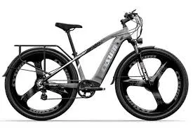 CYSUM SPEEDY 29" Vélo électrique