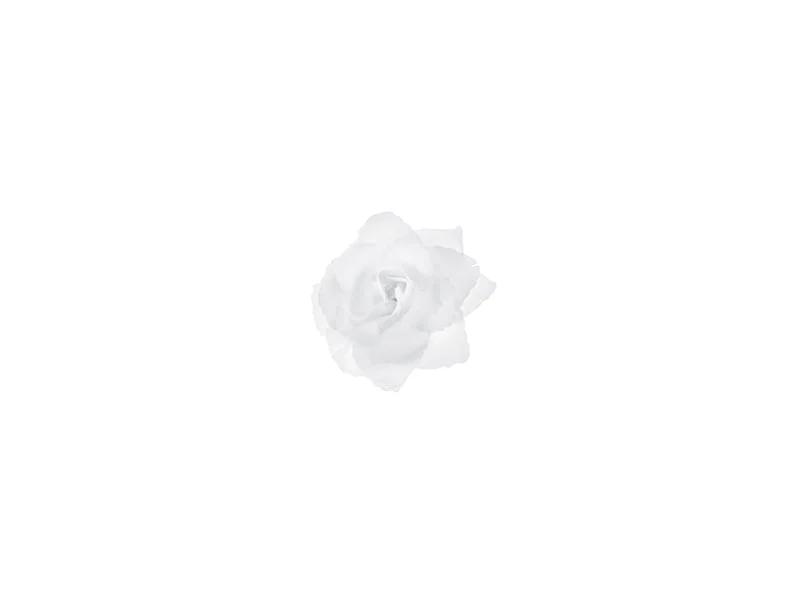 Décoration de voiture Roses blanches 9cm 24pcs