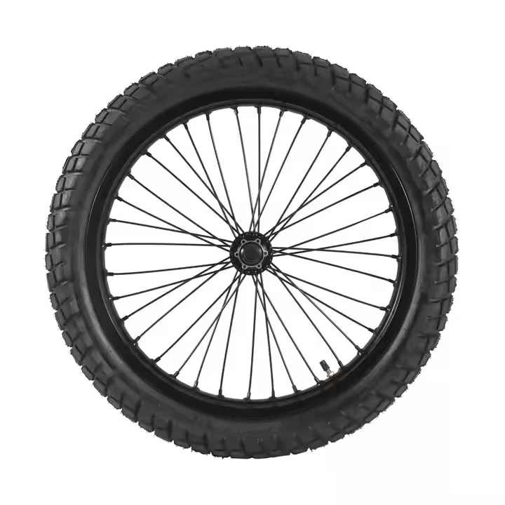 Roue avant DGWZ 19 pouces pour vélo électrique avec jante et pneu
