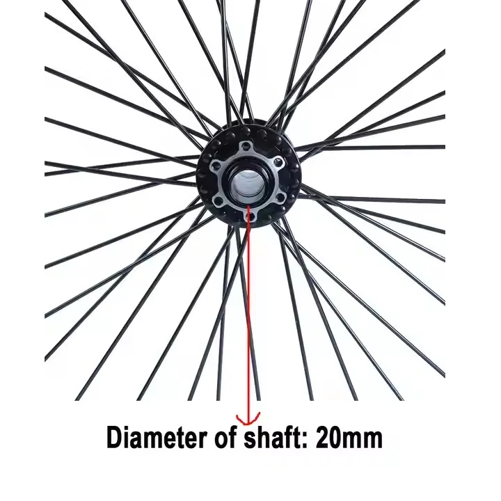 Roue avant DGWZ 19 pouces pour vélo électrique avec jante et pneu