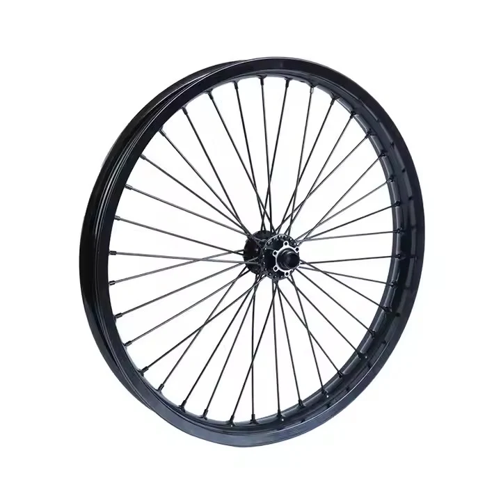Roue avant DGWZ 19 pouces pour vélo électrique avec jante et pneu