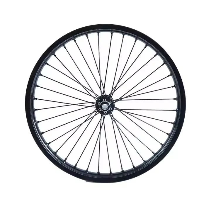 Roue avant DGWZ 19 pouces pour vélo électrique avec jante et pneu