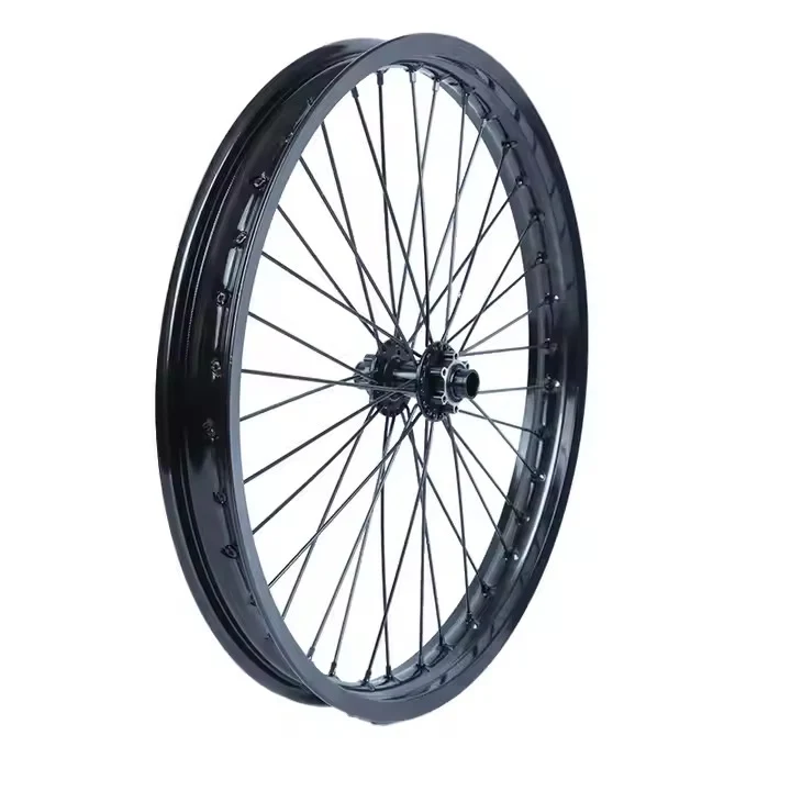 Roue avant DGWZ 19 pouces pour vélo électrique avec jante et pneu
