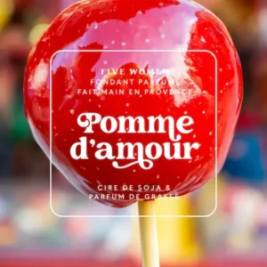 Diffuseur de parfum pour voiture - Senteur Pomme d'amour "Je t'aime"