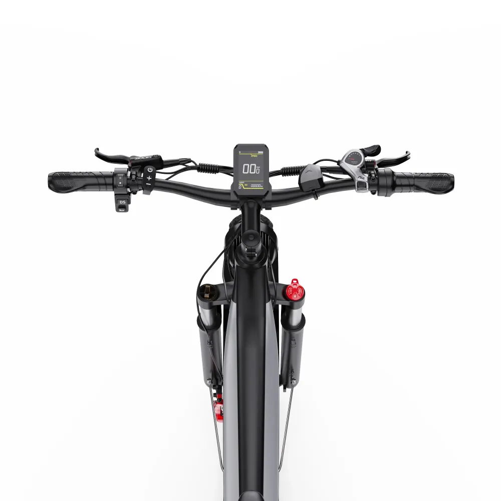 Vélo Électrique Duotts F26 Lite - Moteur 500W Batterie 48V18Ah 26 Pouces Freins Hydrauliques - Argent Blanc