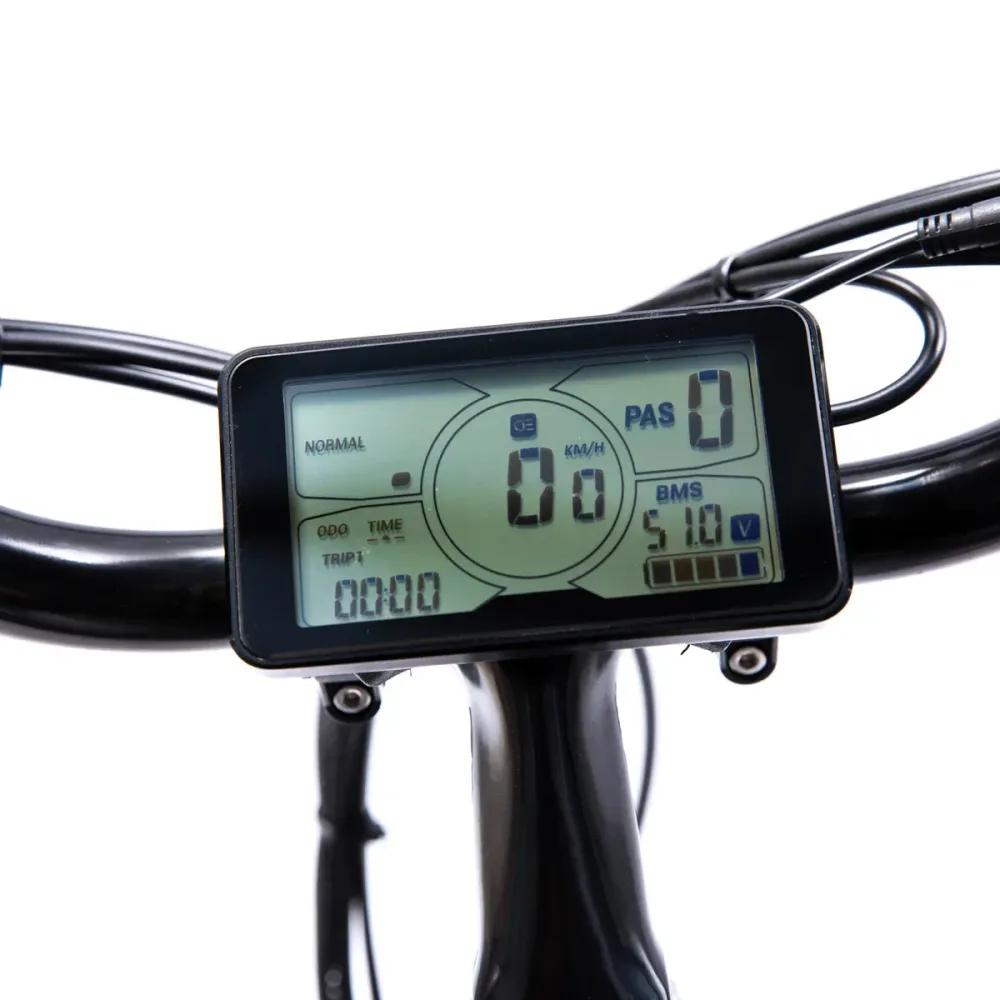 EBZE - Vélo électrique à pneus larges F48