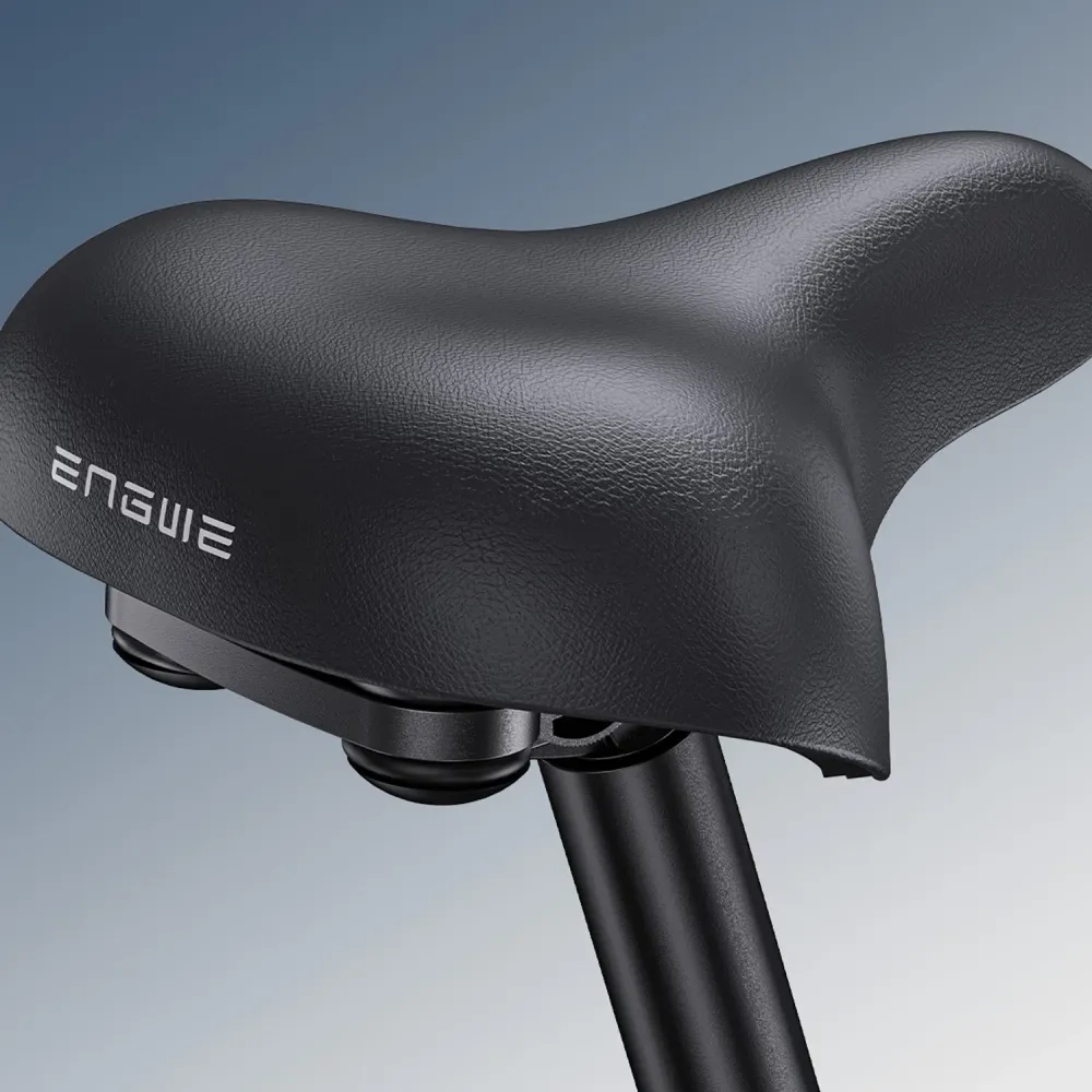 ENGWE Engine PRO 3.0 BOOST Vélo électrique - Moteur 750W 48V 90Nm Charge en 2 heures - Noir