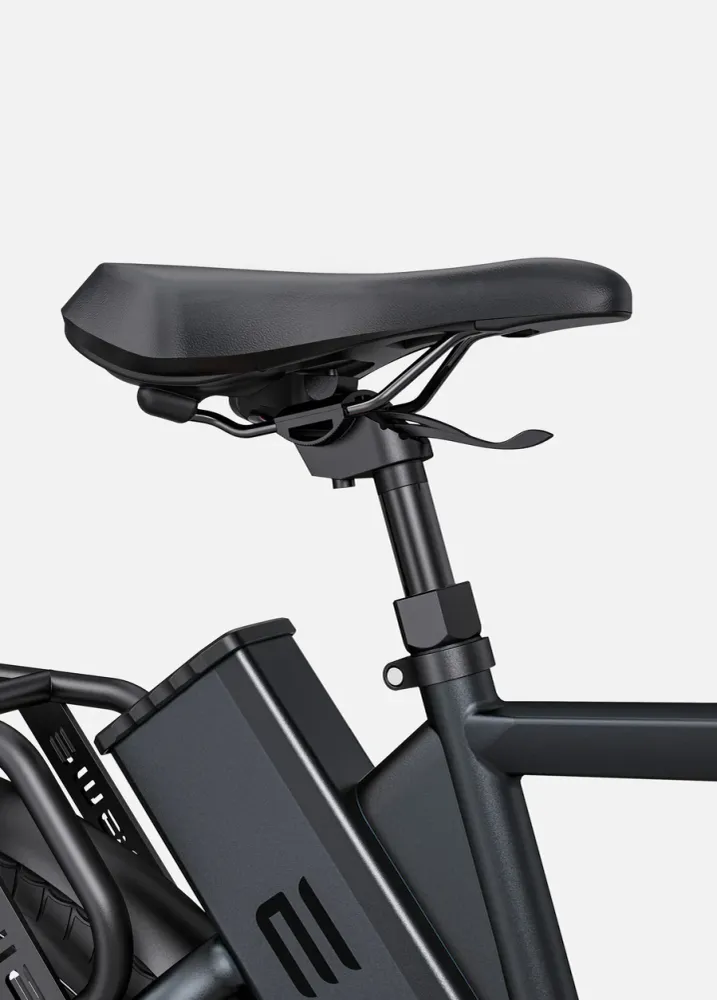 ENGWE P275 Pro Vélo électrique