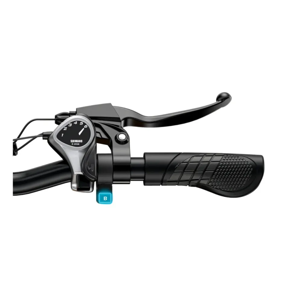 Vélo Électrique ENGWE EP-2 BOOST - 250W Moteur Batterie 48V13AH 20 Pouces Pneus Freins à Disque Hydrauliques - Gris