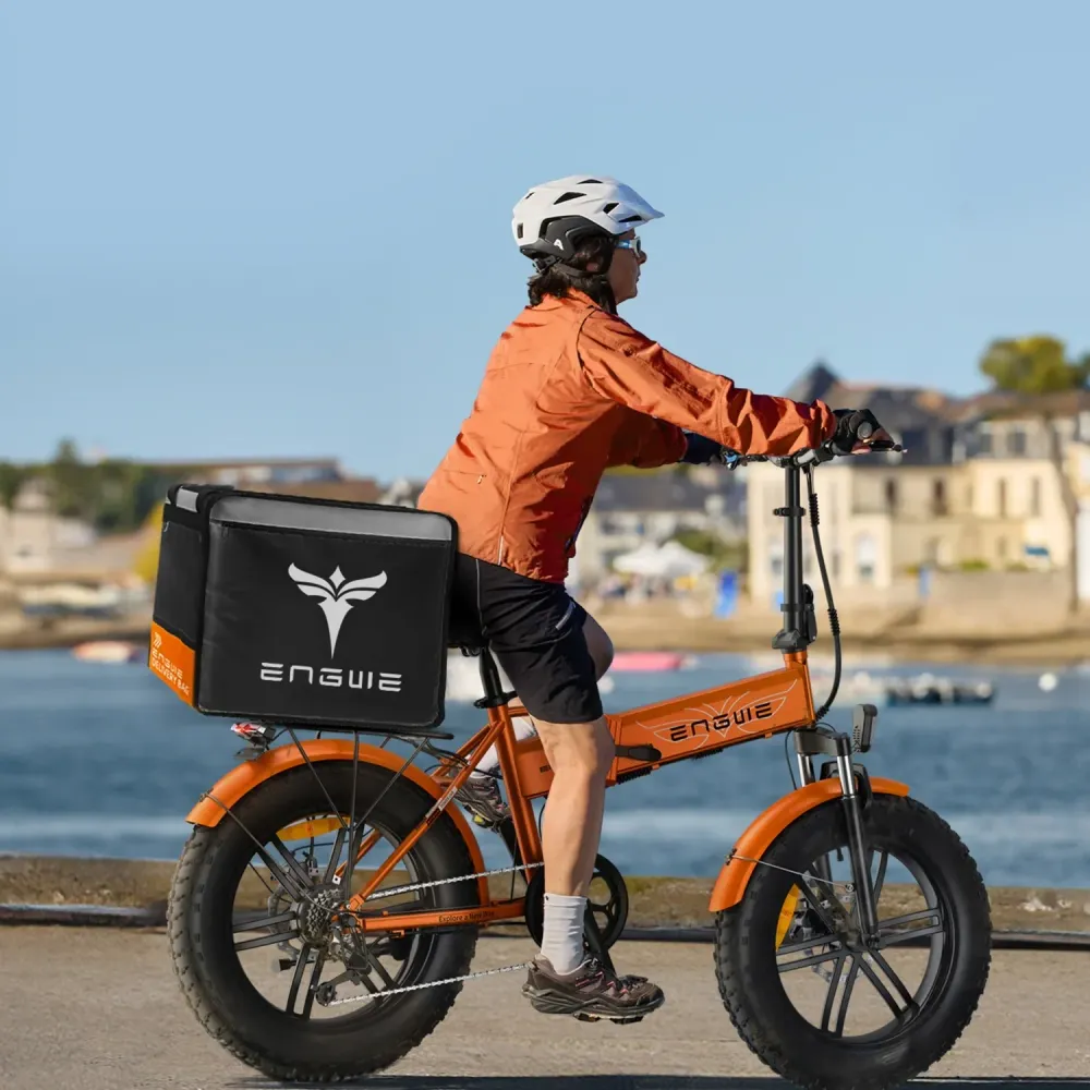 Vélo Électrique ENGWE EP-2 BOOST - 250W Moteur Batterie 48V13AH 20 Pouces Pneus Freins à Disque Hydrauliques - Gris