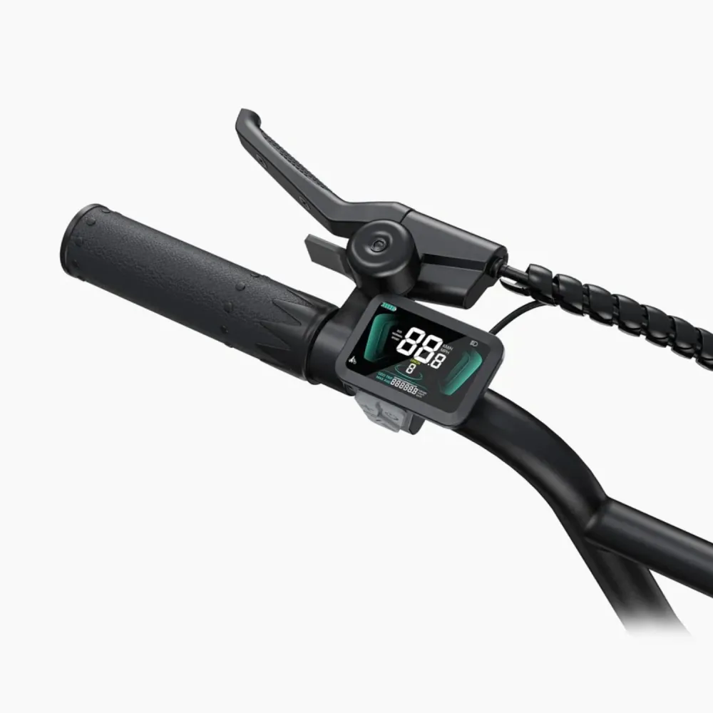 Vélo Électrique ENGWE L20 Boost - Moteur 250W Batterie 48V13Ah Pneus De 20 Pouces Freins à Disque - Noir