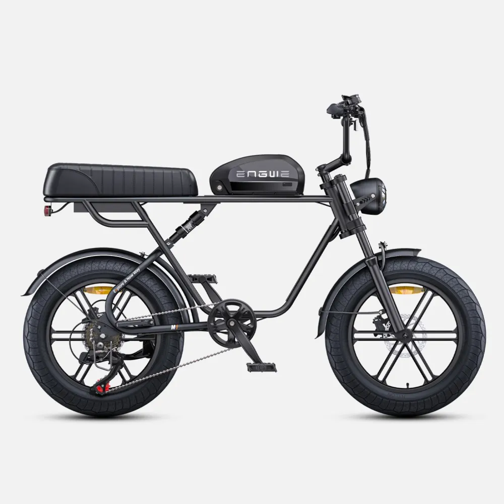 Vélo Électrique ENGWE M1 NL - Moteur 250W Batterie 48V15.6AH Pneus de 20 Pouces Frein à Disque Hydraulique Pommeau de Chan...