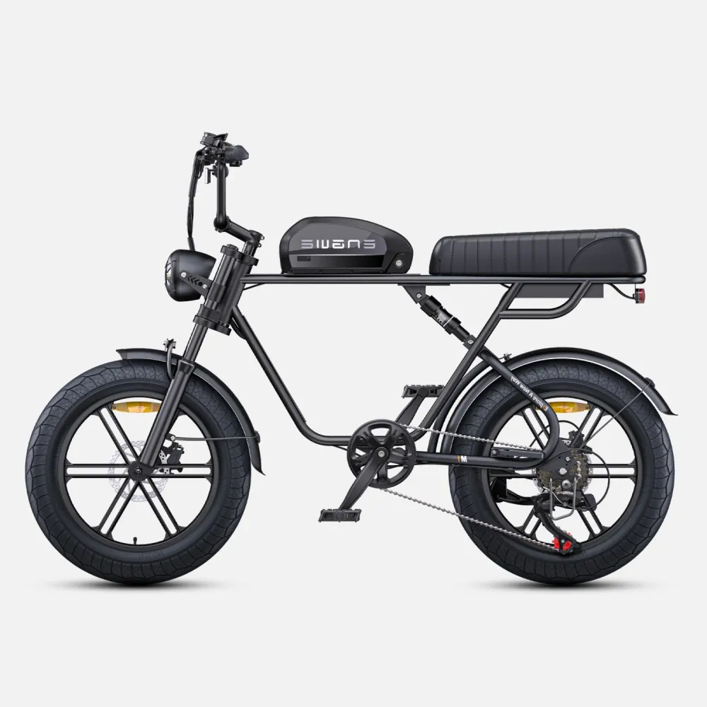 Vélo électrique ENGWE M1 EU - Moteur 250W Batterie 48V15.6AH Pneus de 20 Pouces Freins à Disque Hydrauliques - Noir