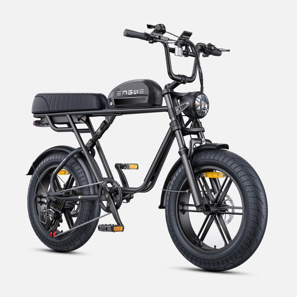 Vélo électrique ENGWE M1 EU - Moteur 250W Batterie 48V15.6AH Pneus de 20 Pouces Freins à Disque Hydrauliques - Noir