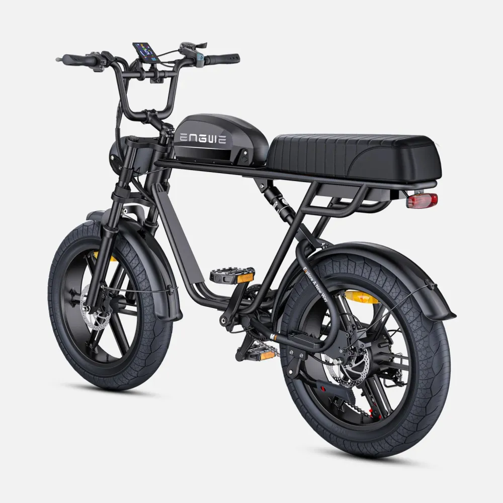Vélo électrique ENGWE M1 EU - Moteur 250W Batterie 48V15.6AH Pneus de 20 Pouces Freins à Disque Hydrauliques - Noir